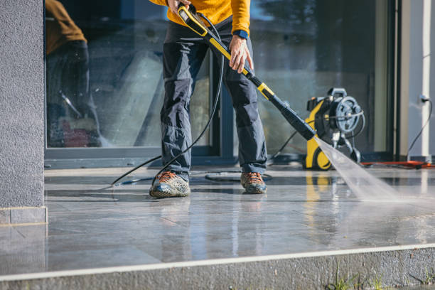 Best Roof Cleaning and Mildew Removal in USA